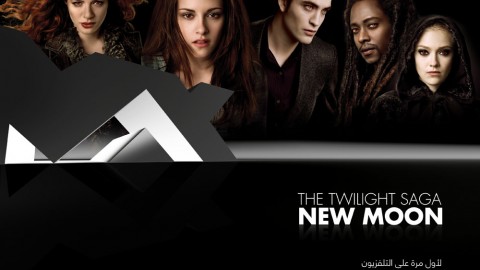 New moon layout 355x265 v3